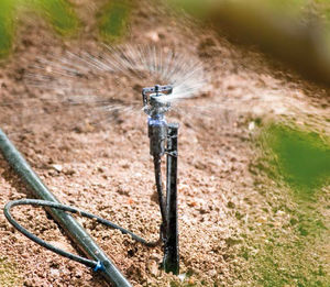 flow-regulated micro sprinkler