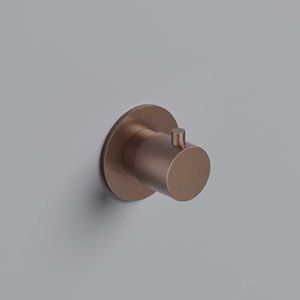shower shut-off valve