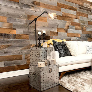 wall-mounted paneling / wooden