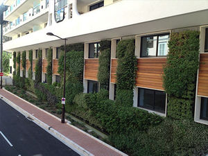 green wall with live plants