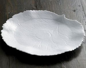 flat plate 1
