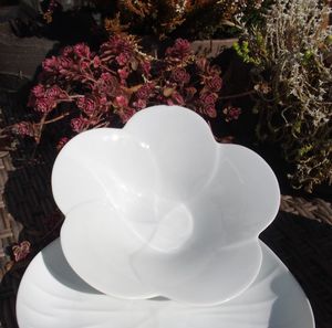 Limoges porcelain salad bowl