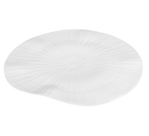flat plate 1