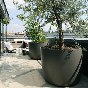 fiber cement planter