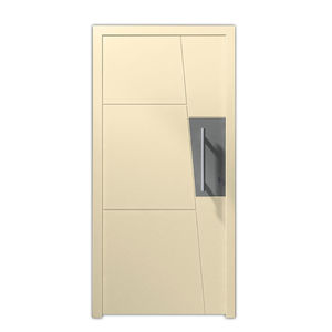 entry door / swing / glass / steel