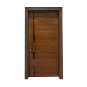 entry door / swing / galvanized steel / security