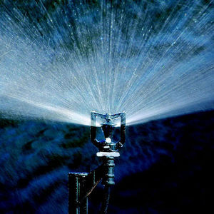 flow-regulated micro sprinkler