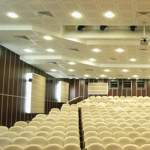 gypsum suspended ceiling