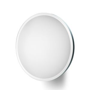 wall-mounted mirror