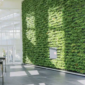 Preserved Green Wall Vuc Odense Natural Greenwalls With Live Plants Modular Panel Natural