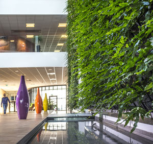 preserved green wall