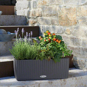 plastic planter / rectangular / modular / contemporary