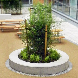 concrete planter