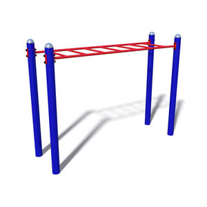 fitness trail ladder