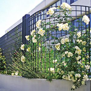 metal grid fence