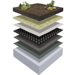 extensive green roof system