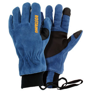 glove 1