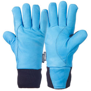 glove 1