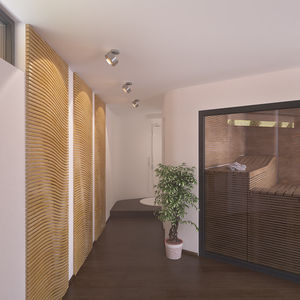 contemporary ceiling light
