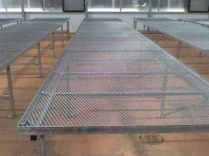 benche for greenhouses 1