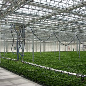 automated irrigation system