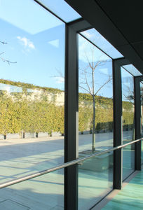 panel curtain wall / glass / steel