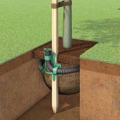 tree irrigation system