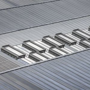 shed rooflight