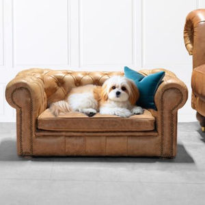 wooden dog sofa 1