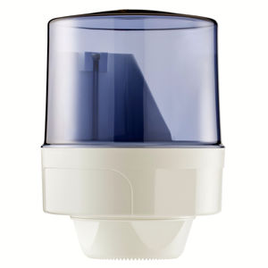 wall-mounted paper towel dispenser