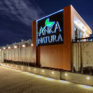in-ground light fixture / recessed wall / LED / round