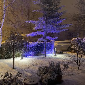LED strip light 1