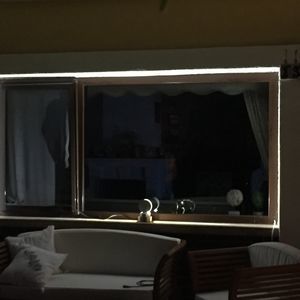surface-mounted spotlight