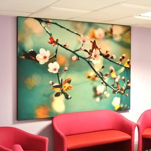ceiling acoustic panel / wall-mounted / for partition walls / for interior