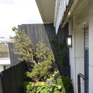 panel screening / wooden / reclaimed material