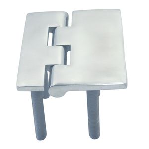 door hinge 1