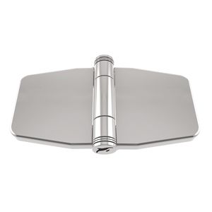 door hinge 1