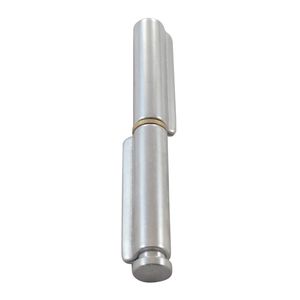 door hinge 1