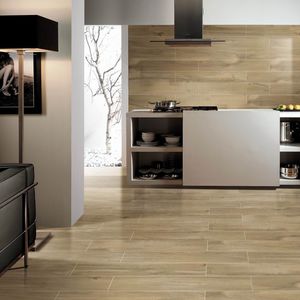 indoor tiles / wall / floor / porcelain