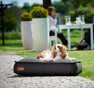 pet dogs and cats cushion