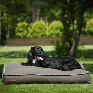 pet dogs and cats cushion