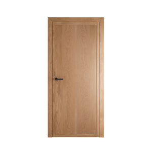 interior door 1