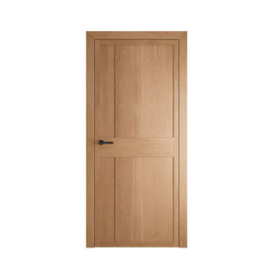interior door 1