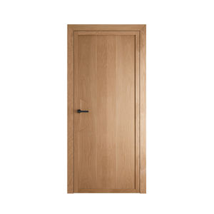 interior door 1
