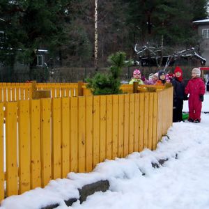 fence with bars