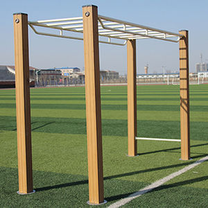 steel ladder