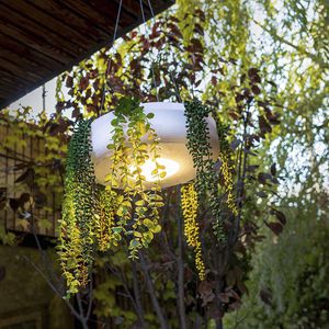 pendant lamp
