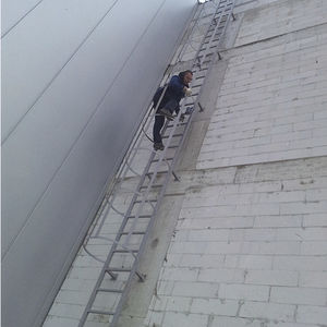ladder with safety cage