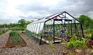 gardening greenhouse