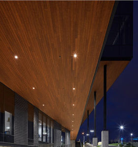 bamboo soffit